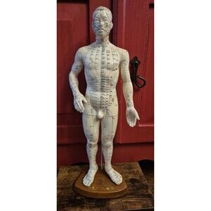 VTG Eye Brand Male Acupuncture Model 21”   Wooden Base Chinese Educational  EUC